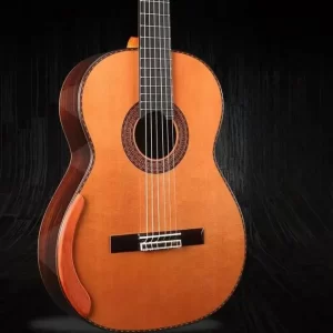 Professional 39-Inch All Solid Santos Bass Guitar High Quality Classic Design Rosewood Back/Side Ebony Fingerboard Ready Ship