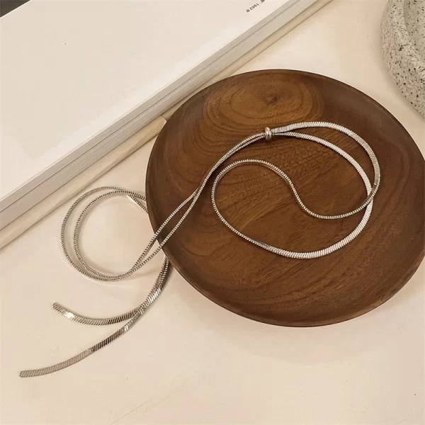 316L Stainless Steel New Fashion Fine Jewelry 134cm Pull Adjusting Charm Flat Snake Chain Choker Necklaces Pendants For Women - Image 6